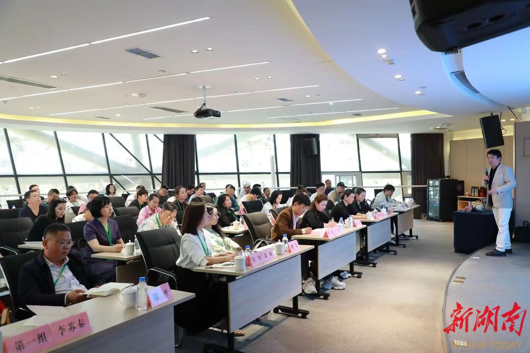 千年窑火点亮文艺新光，“文艺两新” 骨干齐聚醴陵淬火成钢