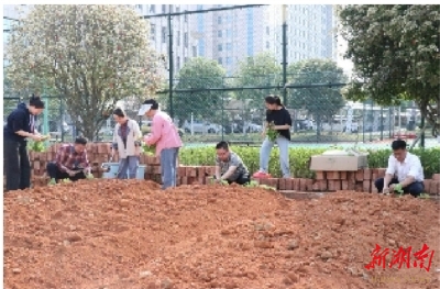播撒黨建種子 激發(fā)法院新活力
