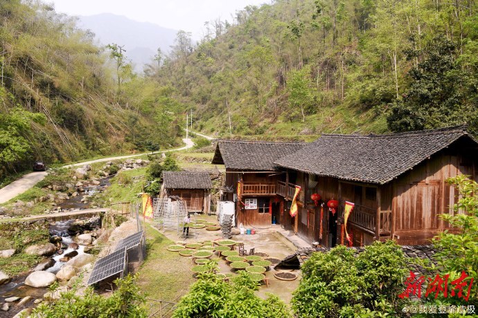 东安：茶山飘香 乡村振兴