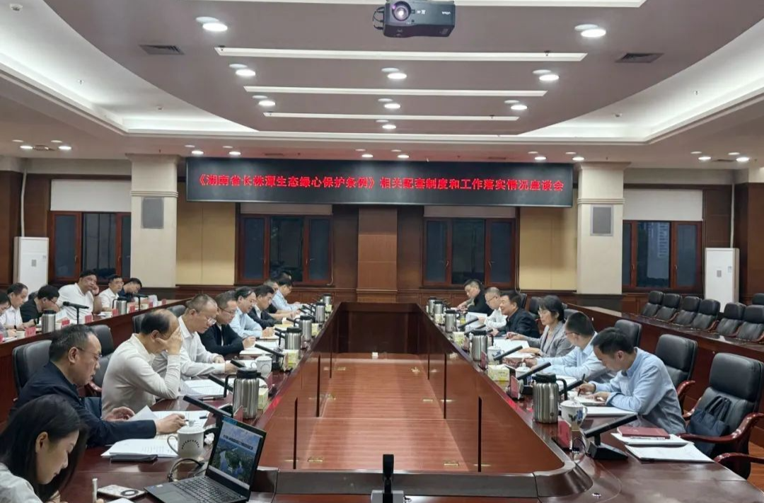 陈飞主持召开生态绿心保护条例配套制度和工作落实情况座谈会