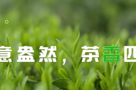 直播预告丨4月20日9点，新湖南客户端邀您品“五彩茶” 、抽十轮大奖！