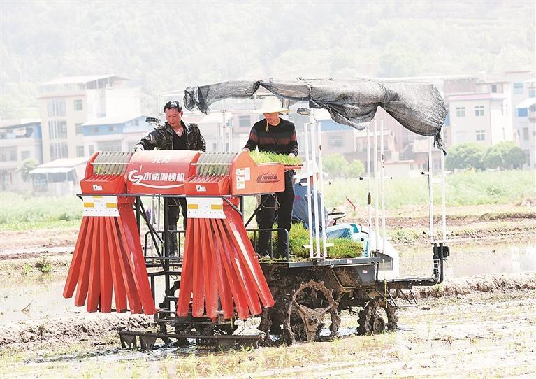 视觉丨嘉禾：农机培训助春耕