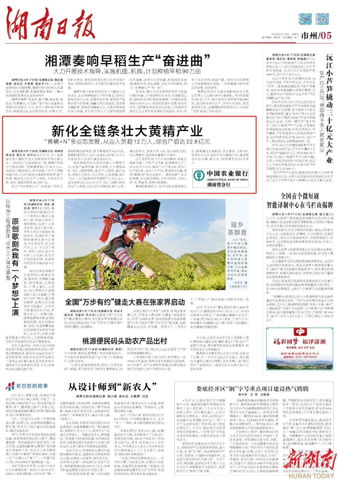 新化全链条壮大黄精产业@湖南日报市州头条
