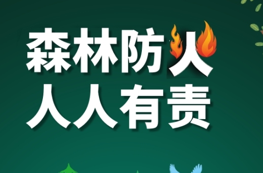 桃源縣開展森林防滅火實(shí)戰(zhàn)演練 新裝備滅火彈顯成效
