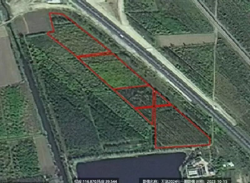 自然資源部 國家林業(yè)和草原局通報(bào)2025年一季度18個(gè)破壞耕地、毀林毀草典型問題