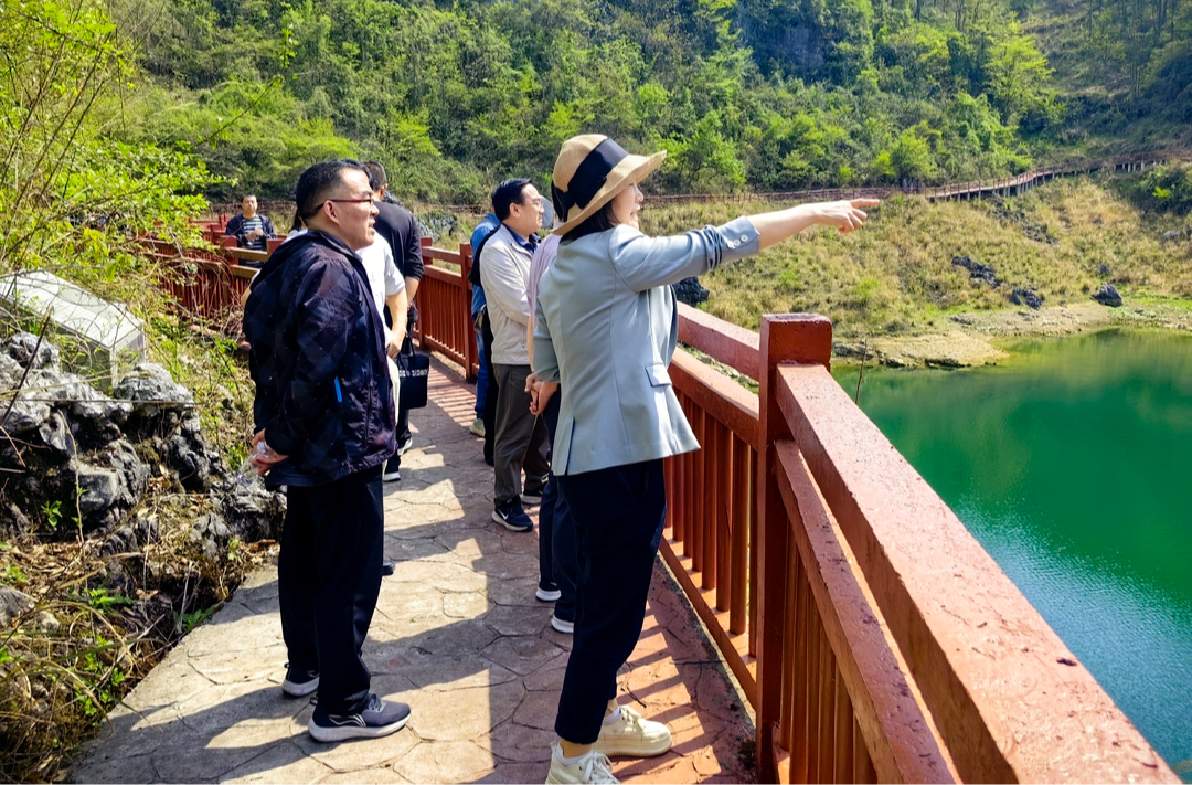 湘西州政協(xié)到龍山縣開展“改善生態(tài)環(huán)境”專項民主監(jiān)督