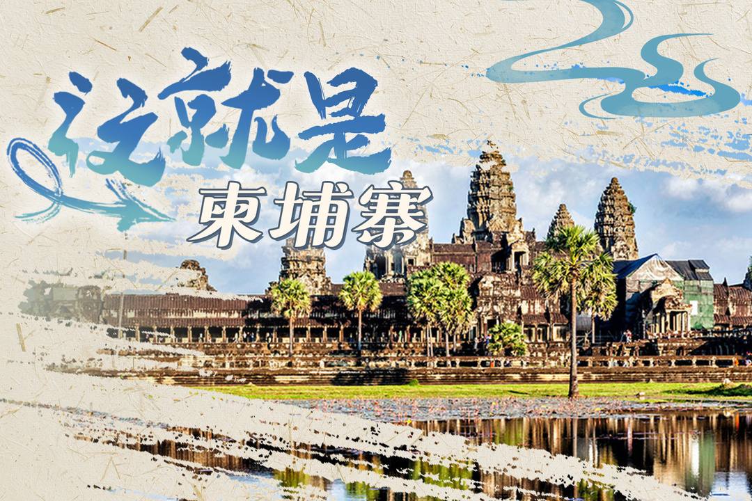 跟着习主席看世界丨如树如花，这份铁杆友谊成色十足