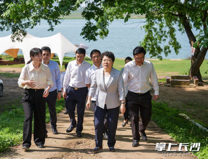 吴桂英调研天心区经济社会发展情况