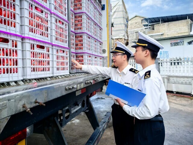麻阳冰糖橙首次出口马来西亚