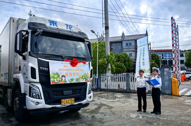 10.5吨！麻阳冰糖橙首次登陆马来西亚市场