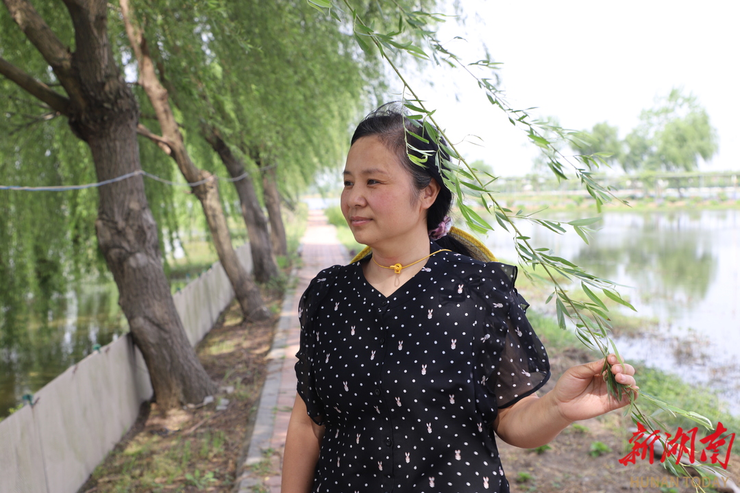 大通湖区有个“花园式农场”