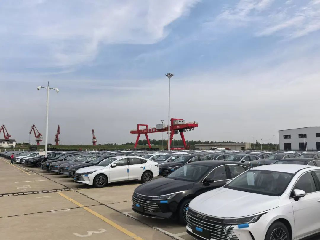 城陵矶滚装码头首次试航比亚迪汽车大规模出口中转业务，后续总共将有10万台新能源车由此过境出海