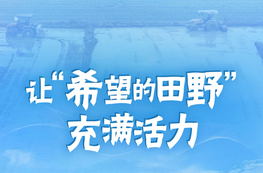习近平总书记关切事｜让“希望的田野”充满活力