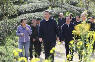 何以中国｜习近平的闽茶缘