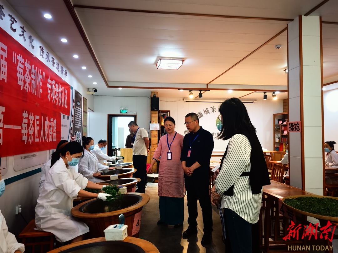张家界启动首届“莓茶制作”专项认证