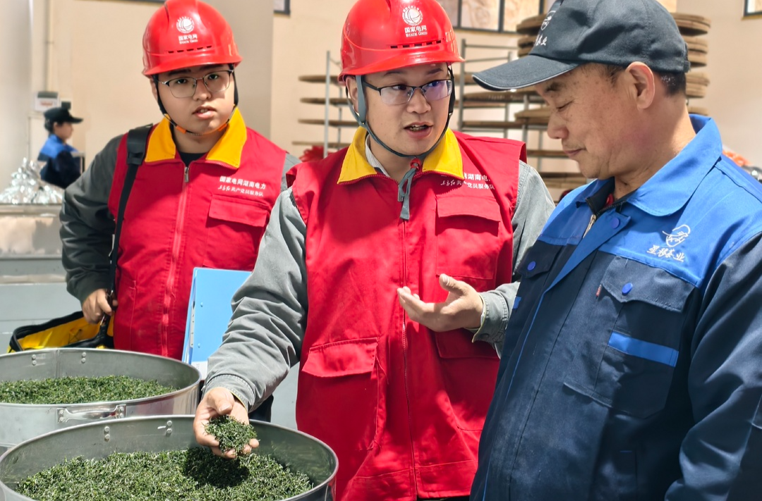 茶企车间用电稳 全电加工产销忙