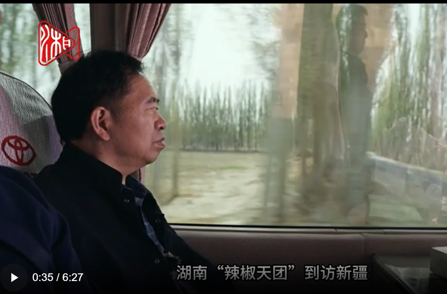 跟着院士去种地③丨爱吃辣的湖南人，为何去新疆“种辣椒”？