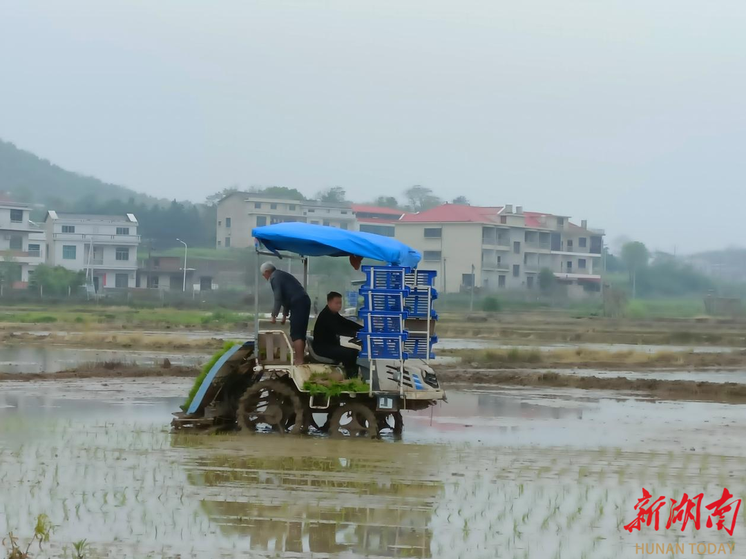 杏子鋪鎮(zhèn)：春耕賦能“慧”種田