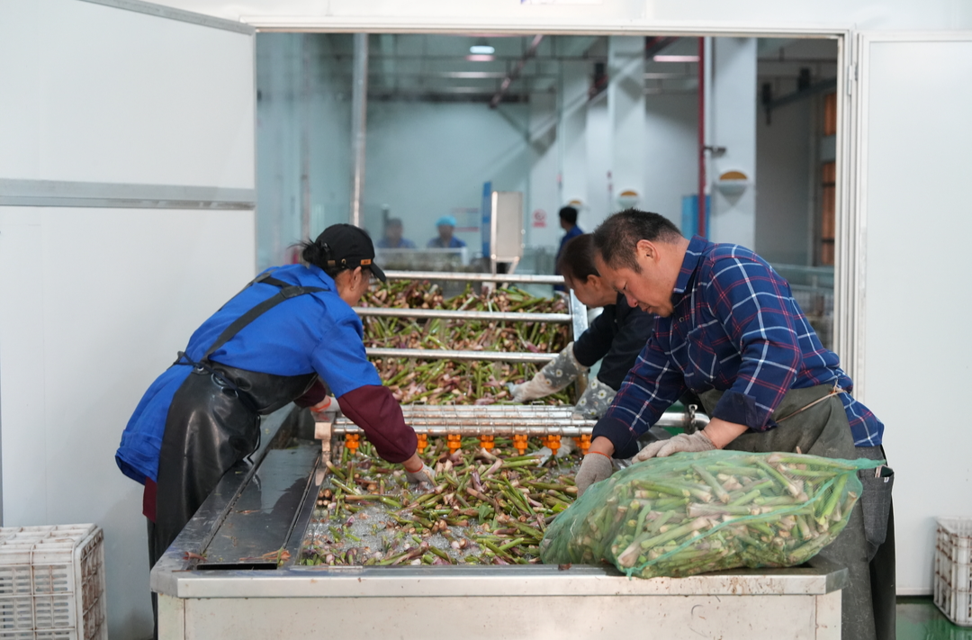 我省再添3個國家地理標志保護產品|湖南日報