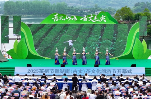 2025 Tea Ancestor Festival Opens in Guzhang County