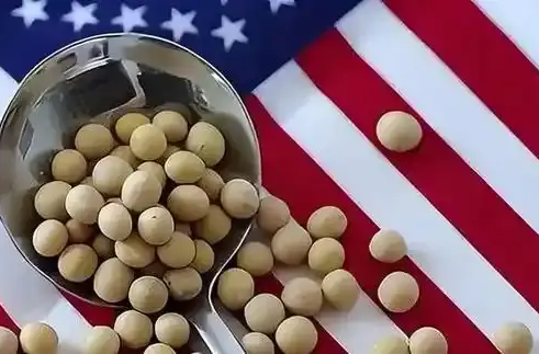 七年见证中美大豆贸易攻守转换