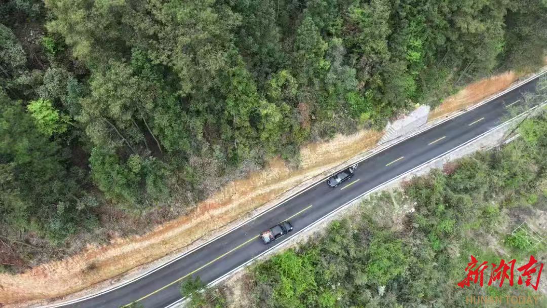 预计4月底！张家界这条旅游公路“颜”“质”升级
