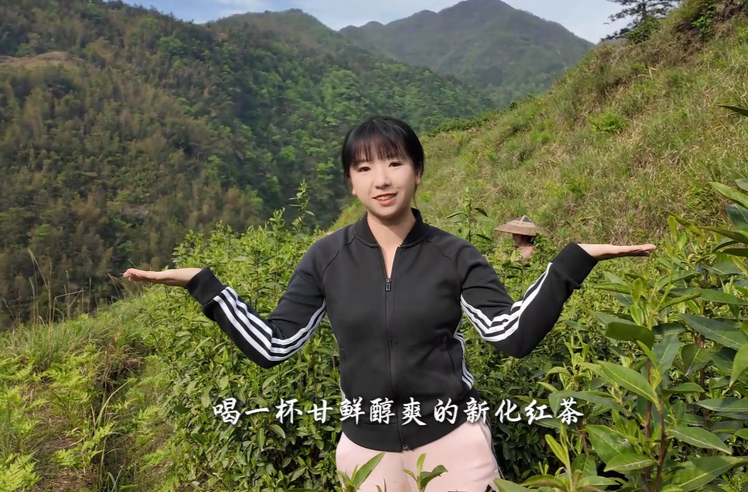 “邹”游娄底⑩|喝茶吗？来新化奉嘎山吧