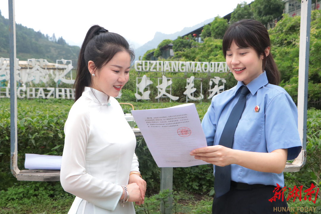 古丈檢察護(hù)航助力茶香飄四方