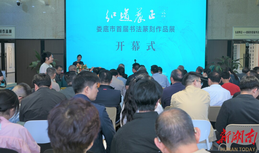 视频|142件入展！娄底市首届书法篆刻作品展开幕