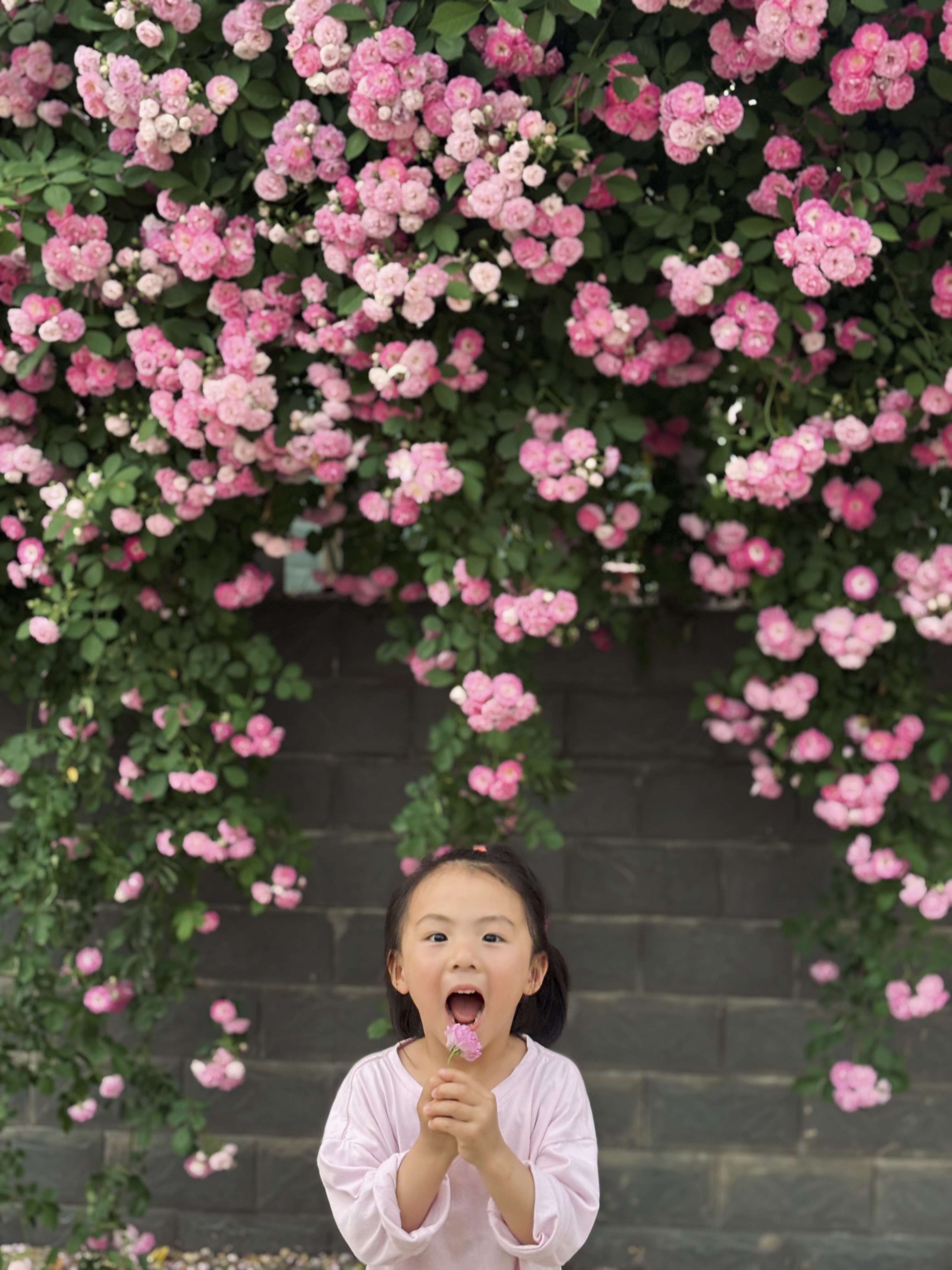 院子外的春天