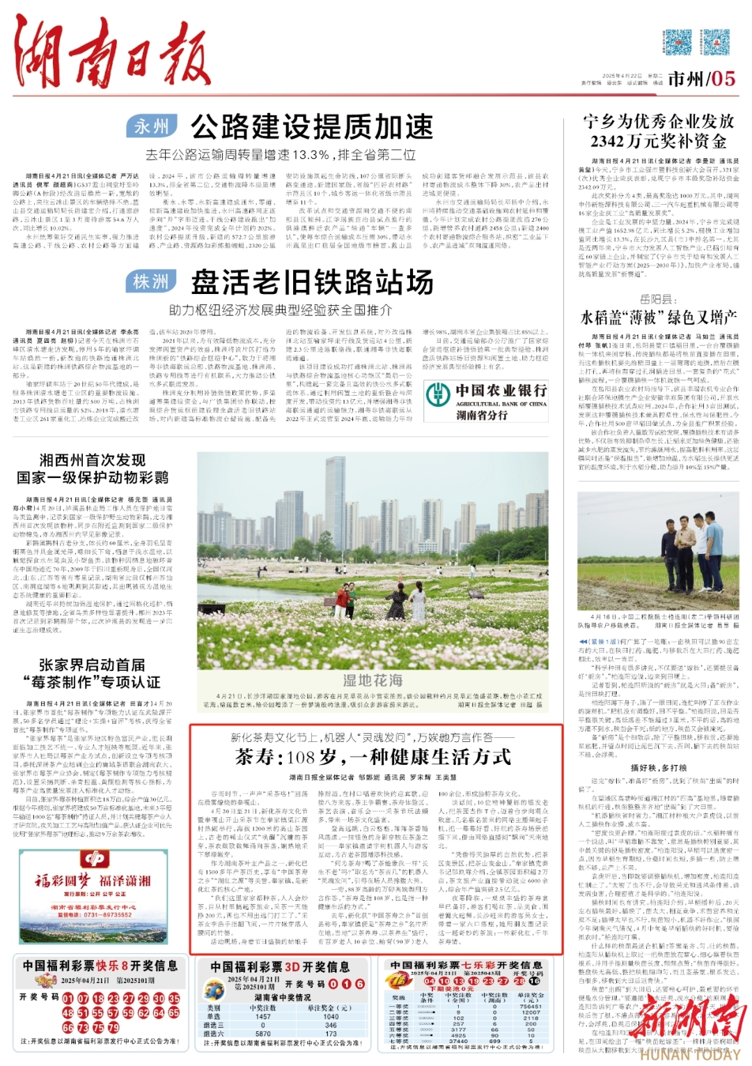 新化茶寿文化节上，机器人“灵魂发问”，万娭毑方言作答——茶寿：108岁，一种健康生活方式|湖南日报·视频