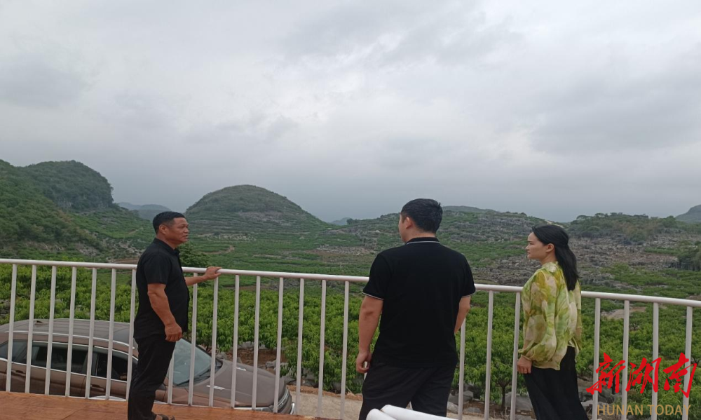 江永：党建“擂台赛”激活乡村振兴新动能
