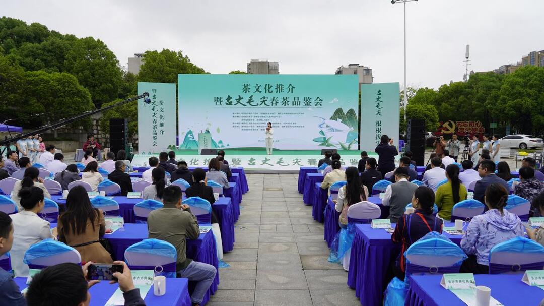 千年茶韵邂逅星城 古丈毛尖非遗技艺焕新出圈