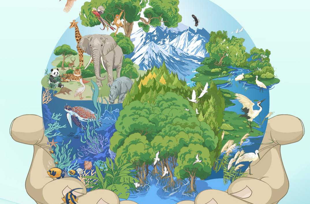 近观“两山”丨守护好蓝色星球