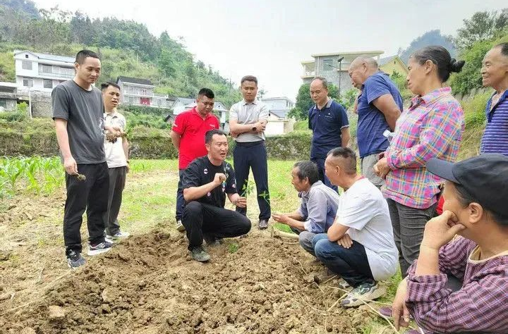 探索文化和科技融合的三个实践路径