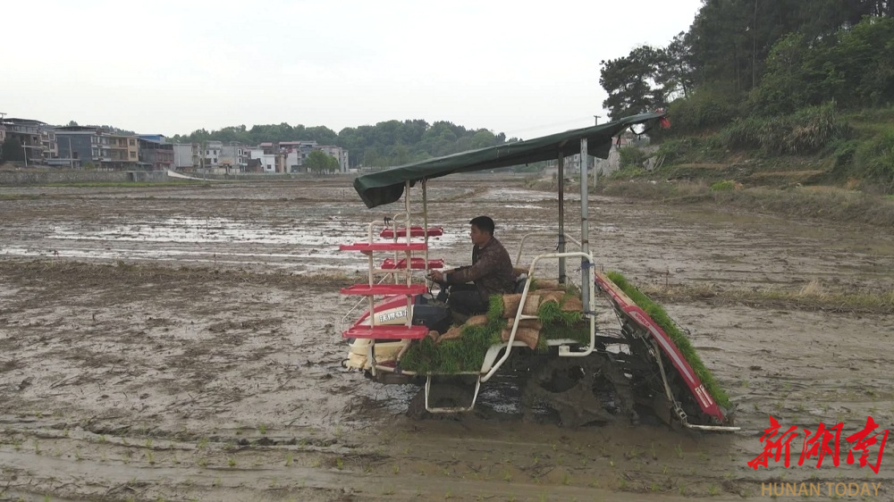 新田：种粮“父子兵”逐梦乡间沃野