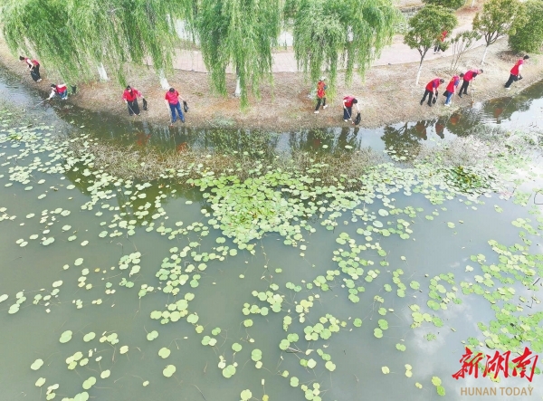 图片新闻丨道县：志愿者拾捡垃圾保护环境@湖南日报