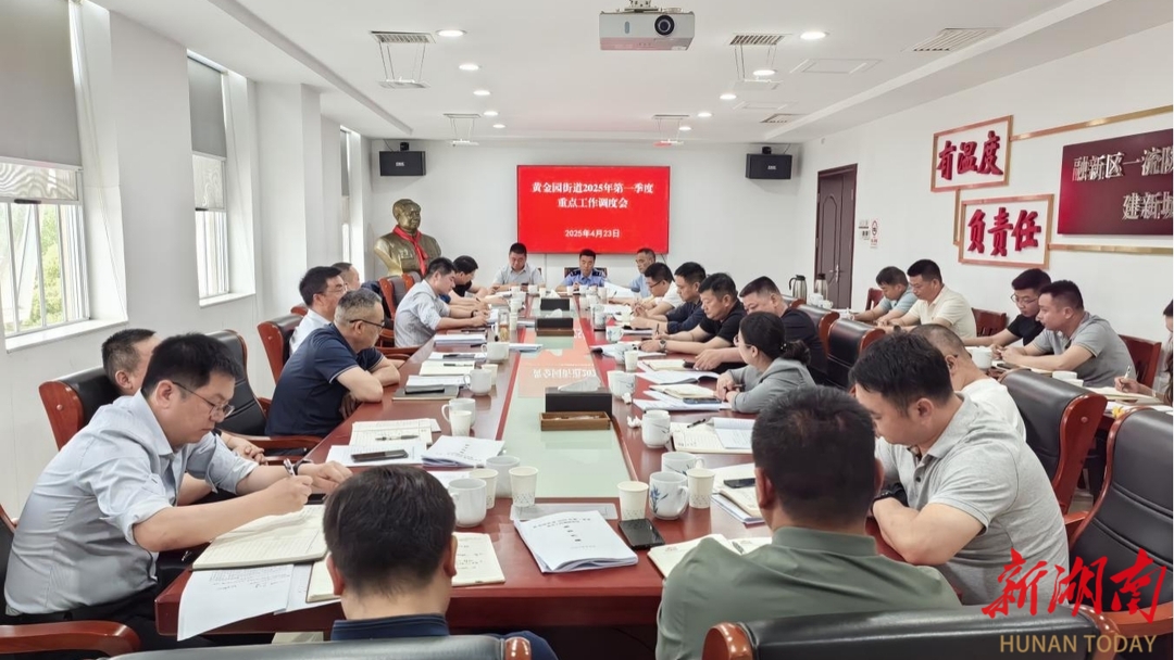 湘江新区黄金园街道召开2025年第一季度重点工作调度会