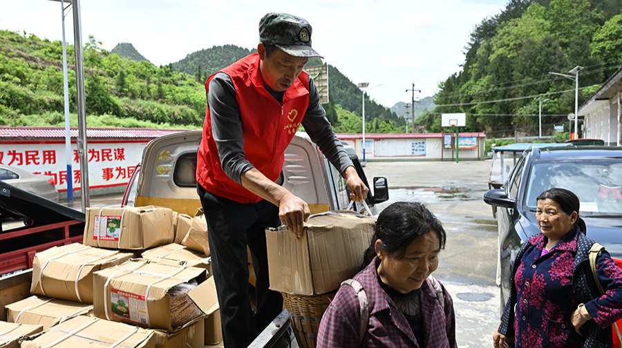 免费种子助春耕