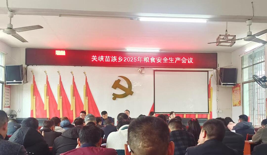 绥宁县关峡苗族乡：党建引领增实效 服务提质保春耕