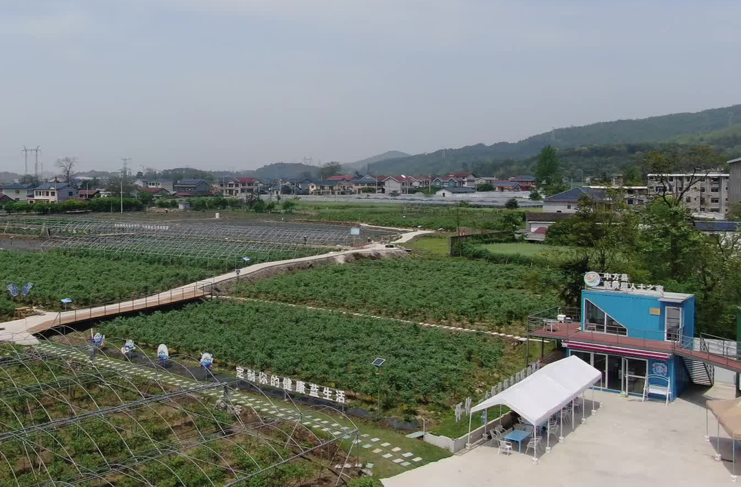 视频 | 中方县：告别“靠天吃饭”，双手搭建出“棚”勃生机