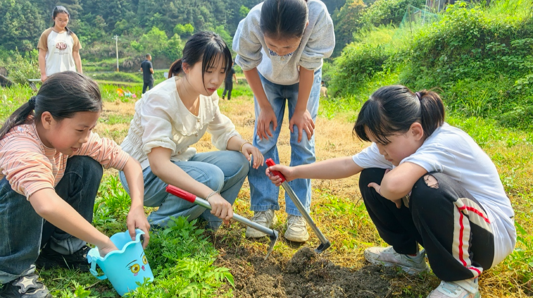 靖州：学生化身“小小农夫”，沉浸式感受传统农耕文化魅力