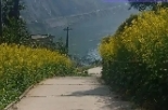 散文丨回家的路