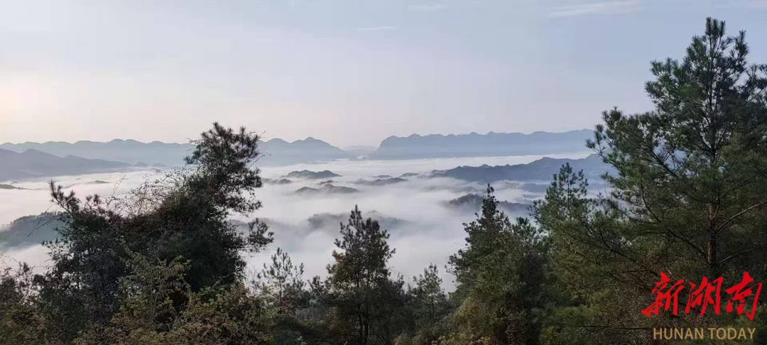 美文欣赏丨洪家关的玉泉村