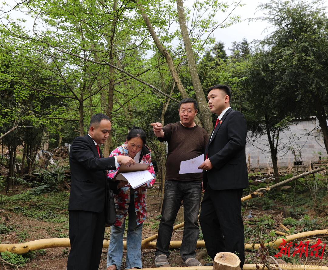 保靖法院：父女因樹冷戰(zhàn)4年，司法調(diào)解守護(hù)親情