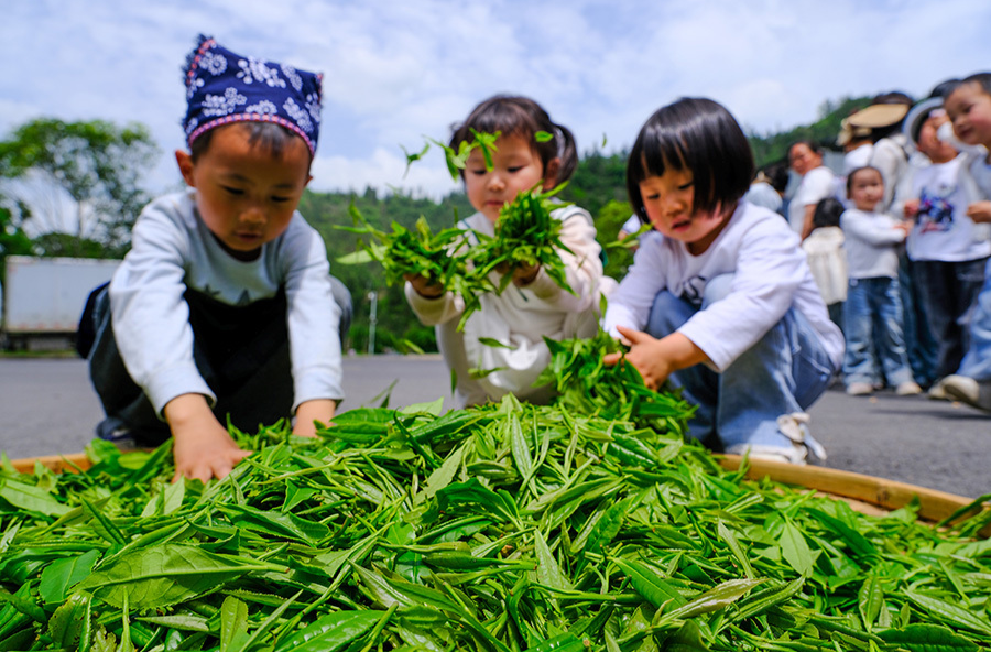 小手触摸茶文化