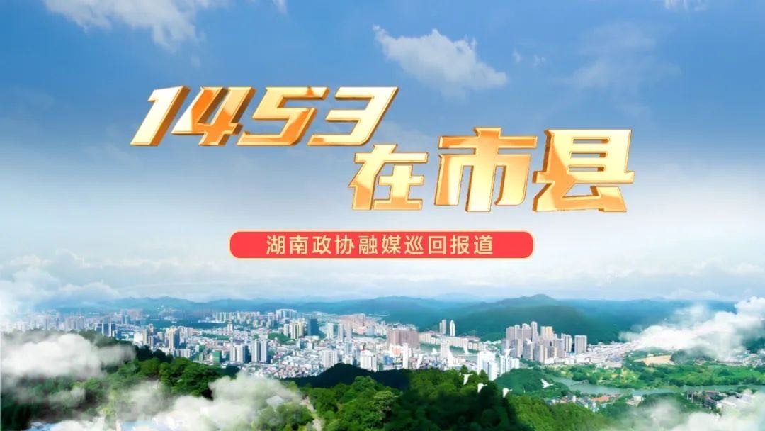 “1453在市县”巡回报道丨岳阳市政协：以实干担当助推高质量发展