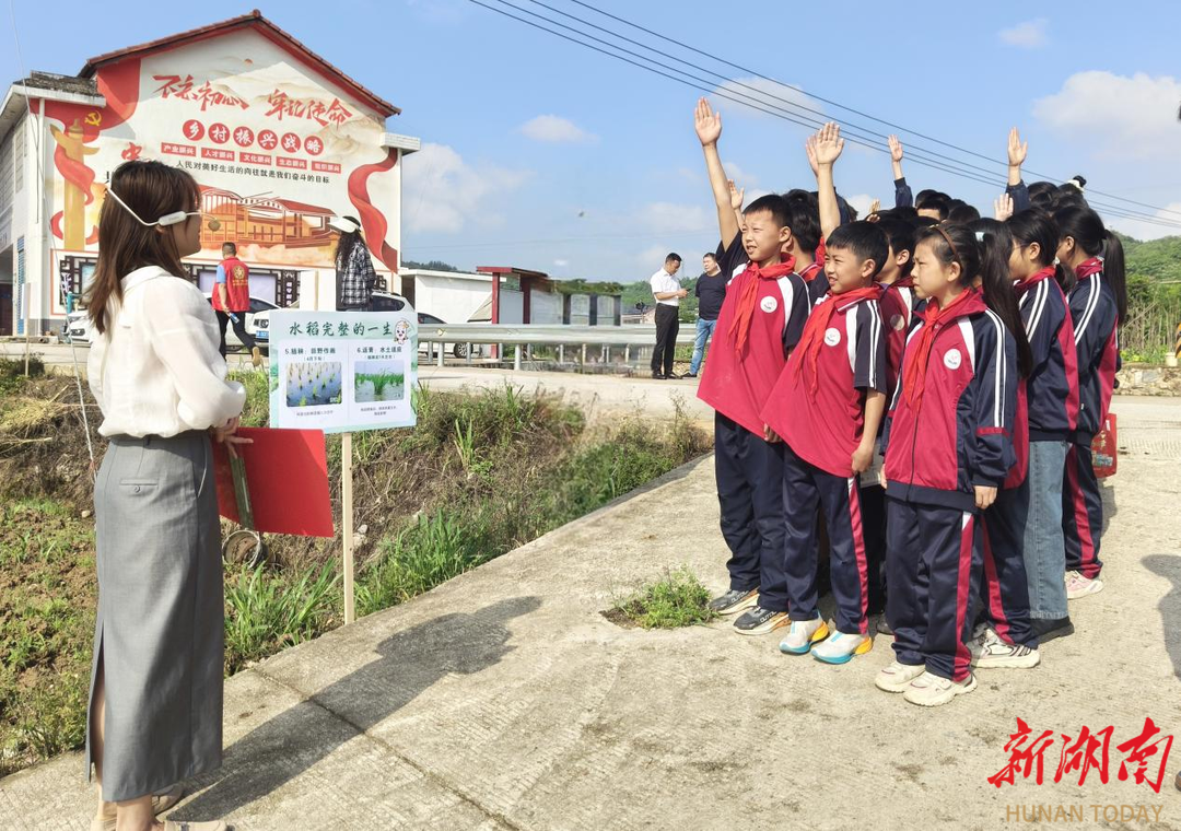 娄星区大科思乐学校开展乡村振兴劳动实践活动