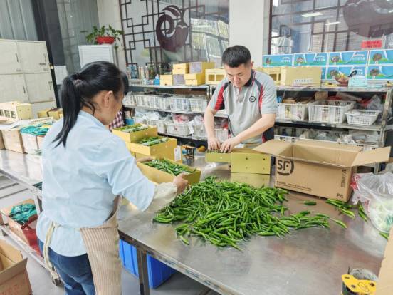 最快7小时送达！顺丰打造“空铁陆”立体运输模式助力农产品出湘