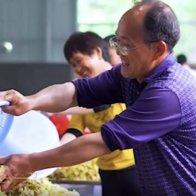 長沙：煙苗“搬家”，早稻“入住”，多元利用促增收